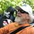 Jeff Goodman's profile image