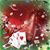 Lynsie Stepanski's profile image