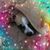 Kitty Swearingen Scott's profile image