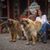 Katia Curbelo's profile image