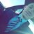 Jordan Masek's profile image