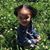 Kuiana Brown's profile image