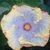 Barbara Gaddy's profile image