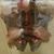 Gutierrez Mauricio's profile image