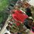 Siddhartha Jain's profile image