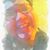 Laurel Nelson's profile image