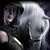 Rebecca Riegel's profile image