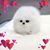 Asbara Sajid's profile image