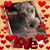 Teri Wise's profile image