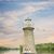 Carol Dahl Anderson's profile image