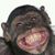 Yvonne Mcvay's profile image