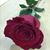 Juana Juarez's profile image