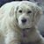 Kathy Kent-valenti's profile image