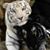 Linda Martino's profile image