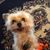 Gayle Ann Ridge's profile image