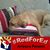 Sherry Campos's profile image