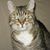 Bep Mieloo's profile image