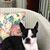 Debbie Harris's profile image