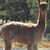 Michelle Moores's profile image