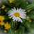 Bonnie Ryan Sauter's profile image