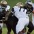 Quan Hairston's profile image