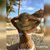 Sharon Matthews's profile image