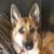 Jody Box Morgan Worthington's profile image