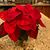 Beth Jecen Purtill's profile image
