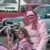 Debi Mucha Henninger's profile image