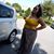 Brittany Riedel's profile image