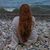 Dorae L Armstrong's profile image