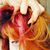 Melody Faraday's profile image