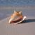 Kathy Wagner's profile image