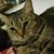Tracy Watt's profile image