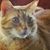 Donna Baxter's profile image