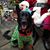 Lydia Favre Guerzon's profile image