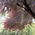 Ian Campbell's profile image