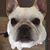 Angelia Dawsey's profile image