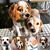 Denise Quiroz's profile image