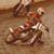 Billy Labrie's profile image