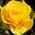 Evelyn Lockwood's profile image