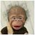 Michelle Lyons Snow's profile image