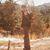 Allen Smith's profile image