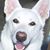 Steve Trego's profile image