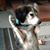 Tracey Merrett's profile image