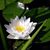 Linda Howard's profile image