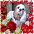 Catharine Jackson's profile image