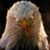 Melody Rahall's profile image
