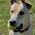 Kimberly Ann's profile image