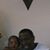 Ronald Curley's profile image